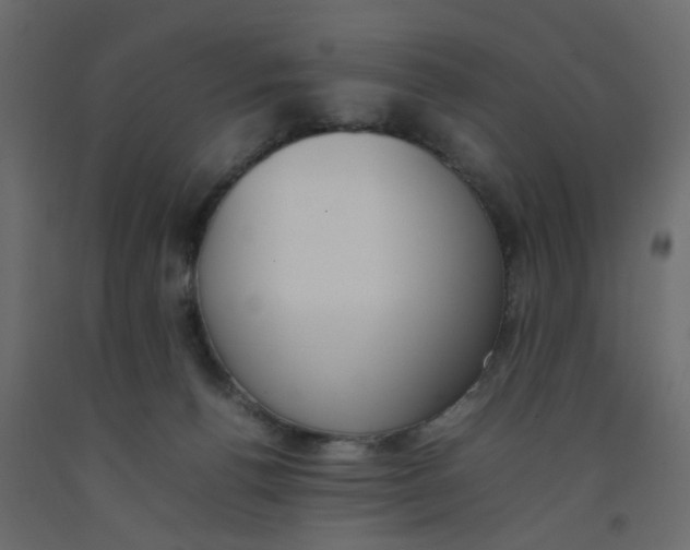 X0000092100176200710101129