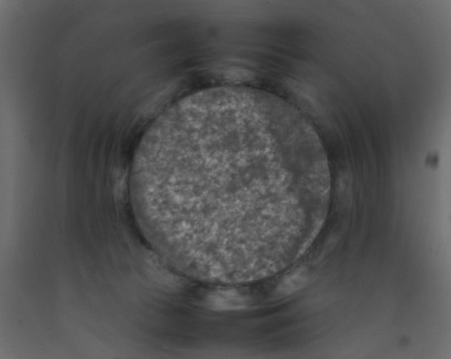 X0000092100177200710101129