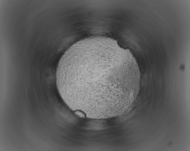 X0000092100179200710101129