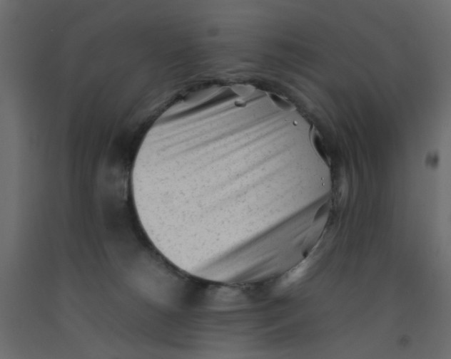 X0000092100180200710101129