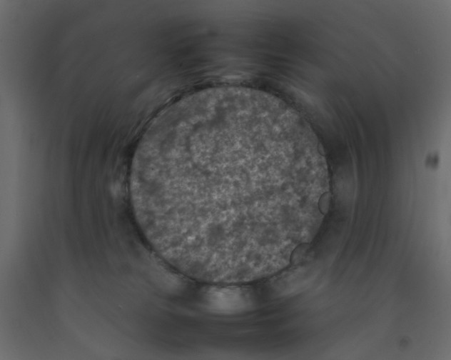 X0000092100181200710101129