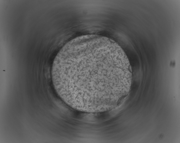 X0000092100182200710101129