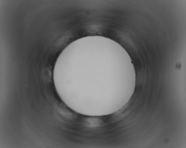 X0000092100183200710101129