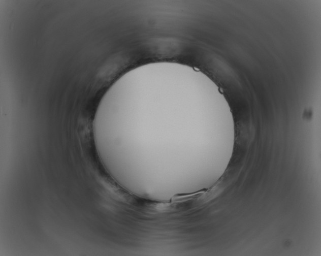 X0000092100184200710101130