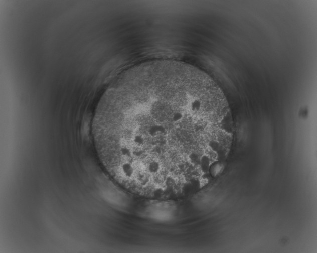 X0000092100185200710101130