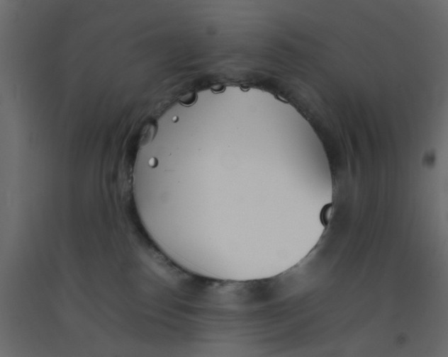 X0000092100186200710101130