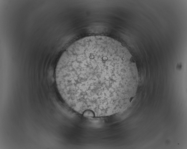 X0000092100187200710101130