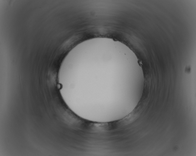 X0000092100188200710101130