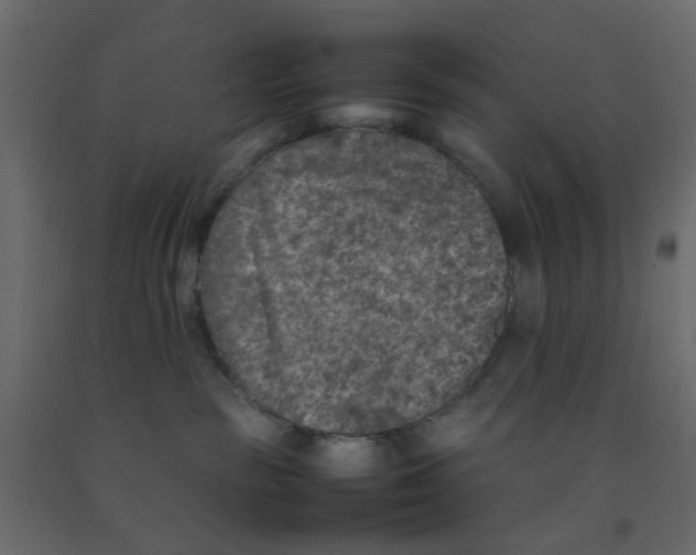 X0000092100189200710101130