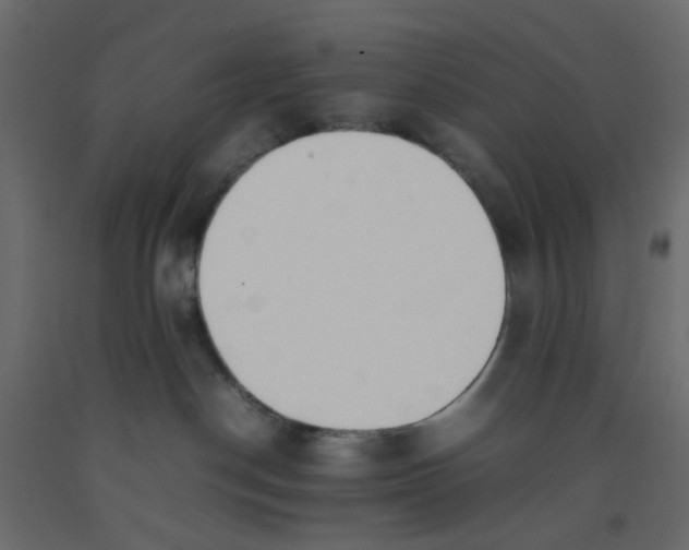 X0000092100190200710101130