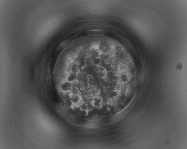 X0000092100191200710101130