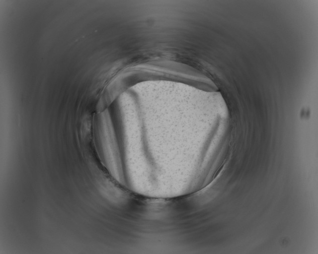 X0000092100192200710101130