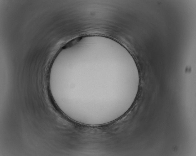 X0000092100193200710101129