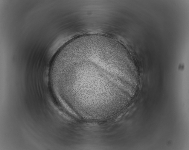 X0000092100194200710101129