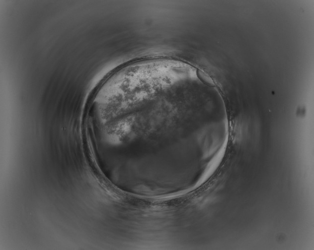 X0000092100196200710101129