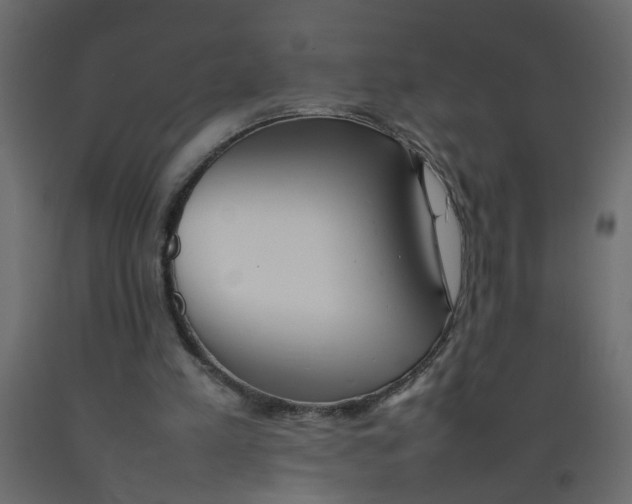 X0000092100197200710101129