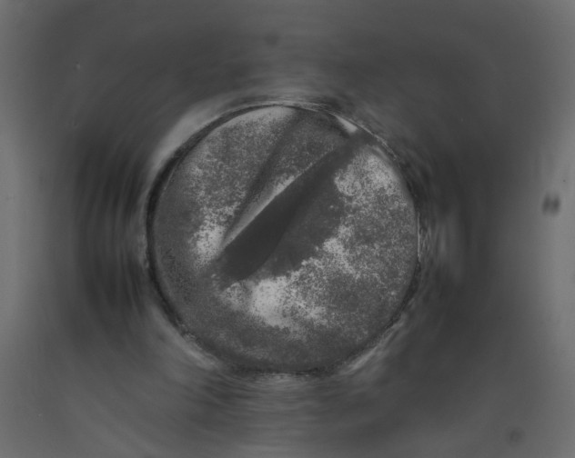 X0000092100198200710101129