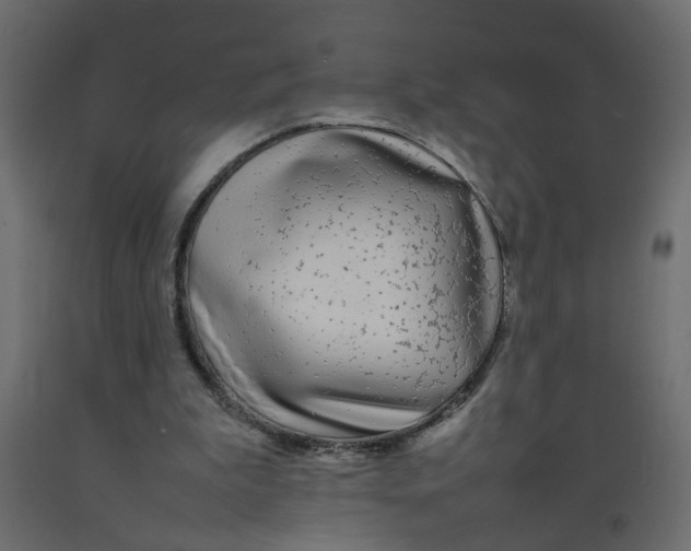 X0000092100199200710101129