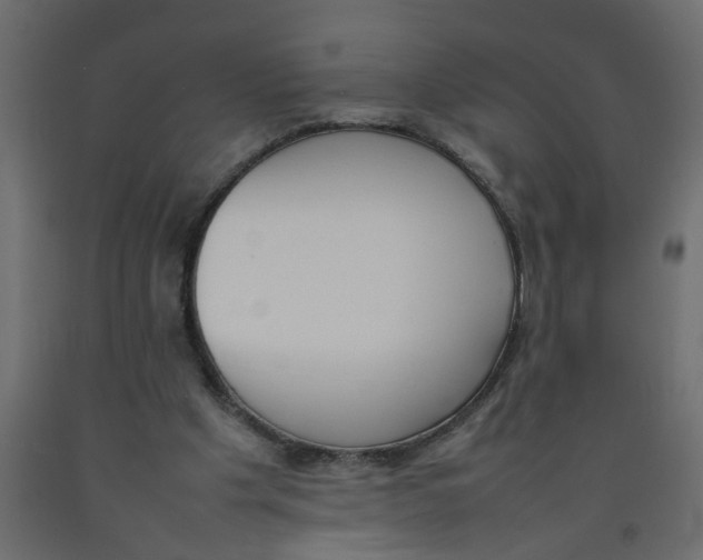 X0000092100201200710101129