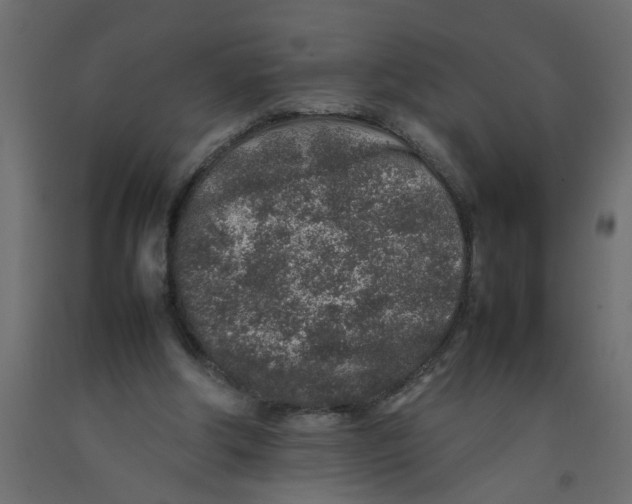 X0000092100202200710101129