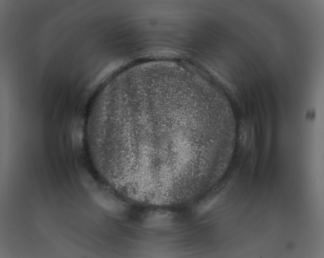 X0000092100206200710101129