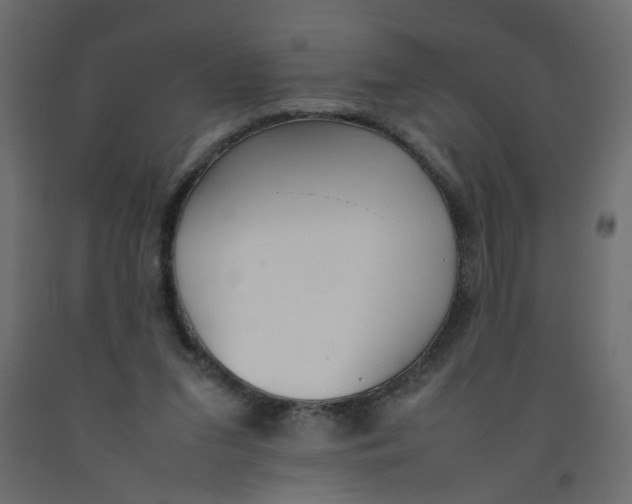 X0000092100207200710101129