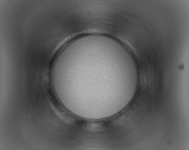 X0000092100208200710101129