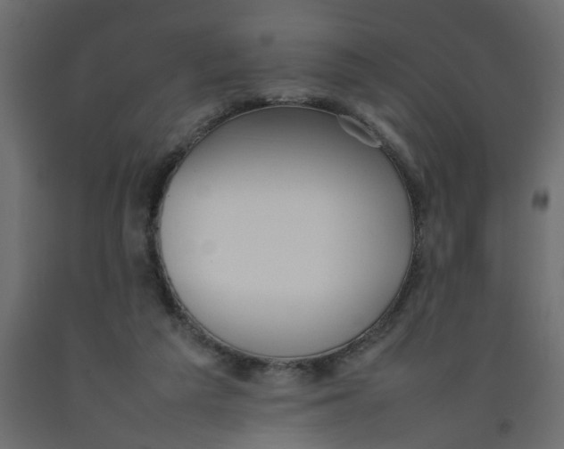 X0000092100209200710101129