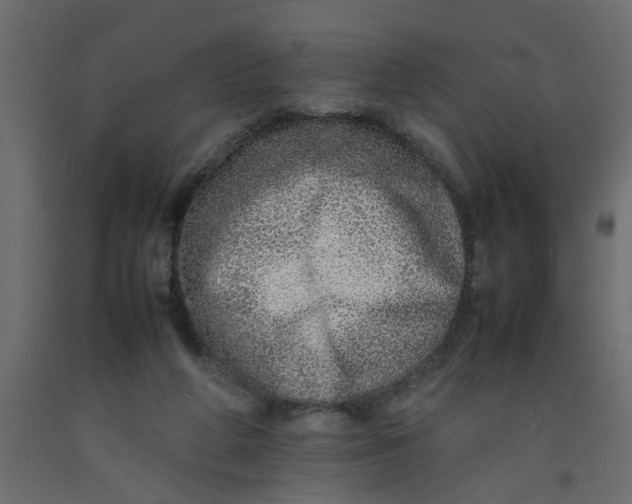 X0000092100210200710101129