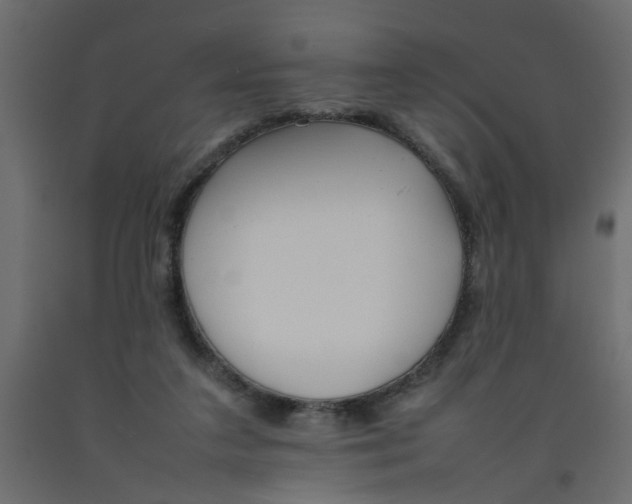 X0000092100211200710101129