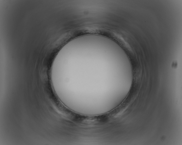 X0000092100213200710101129