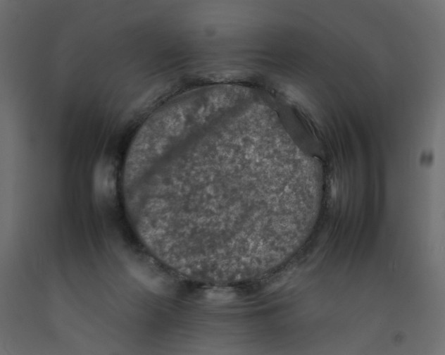 X0000092100214200710101129