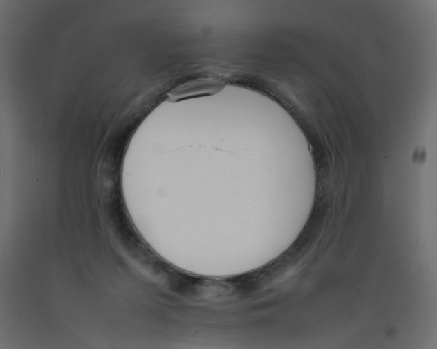 X0000092100215200710101129