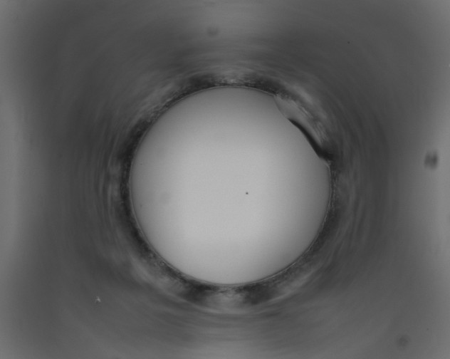 X0000092100217200710101129