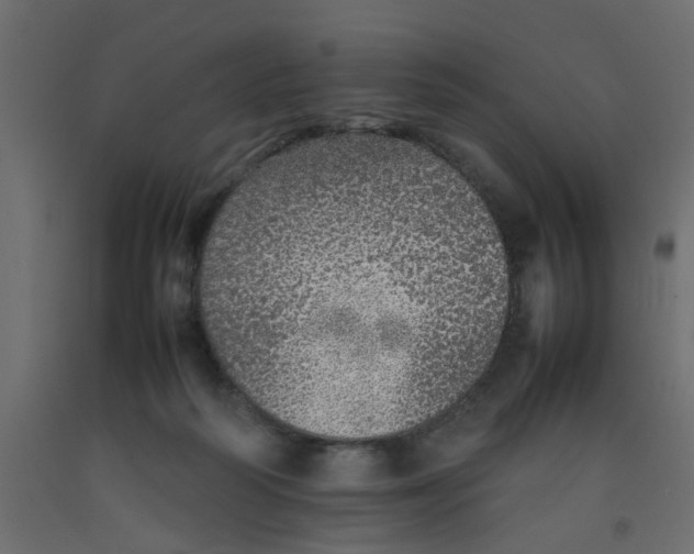 X0000092100218200710101129