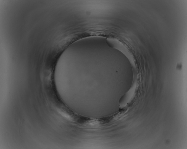 X0000092100219200710101129