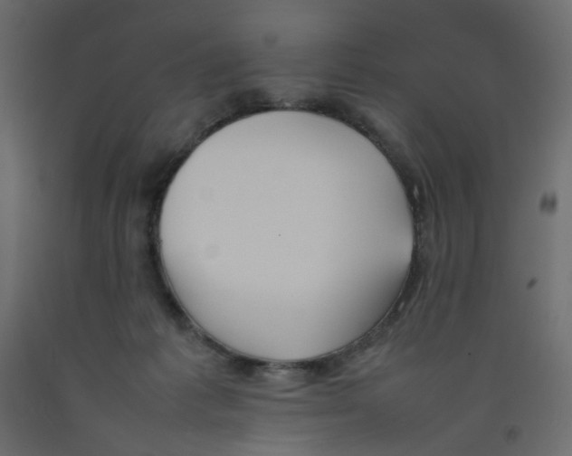 X0000092100221200710101129