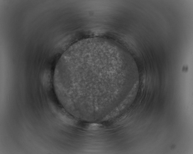 X0000092100222200710101129