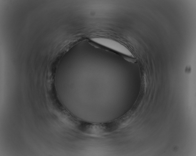 X0000092100223200710101129