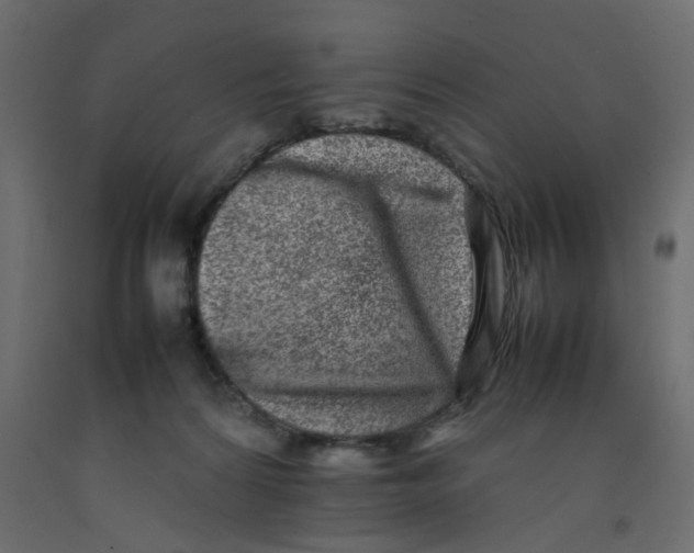 X0000092100224200710101129