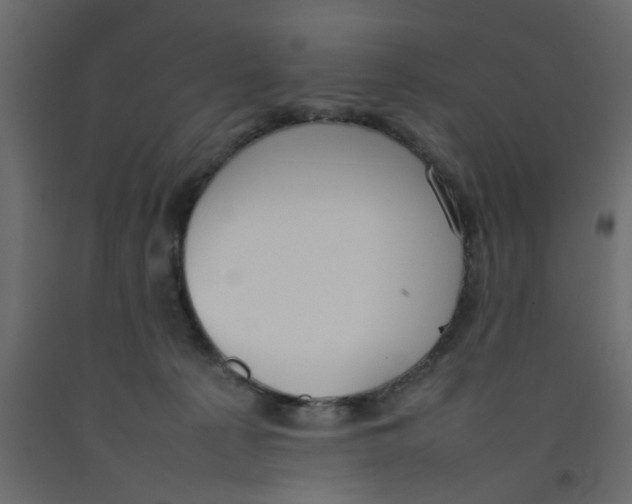 X0000092100225200710101129