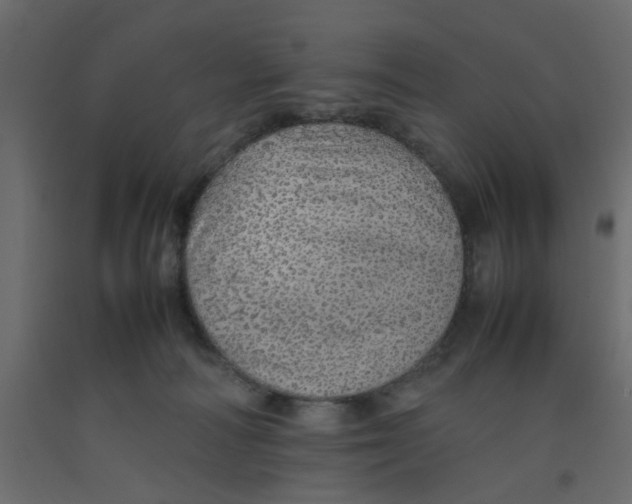 X0000092100226200710101129