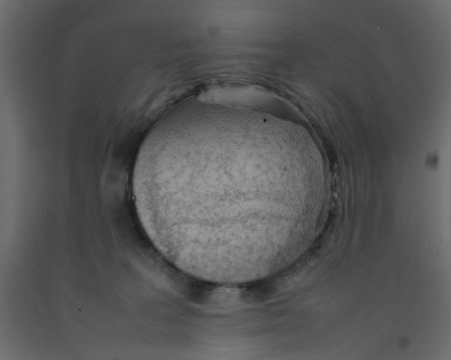 X0000092100227200710101129