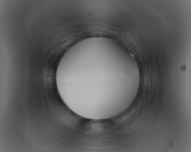 X0000092100228200710101129