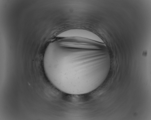 X0000092100229200710101129