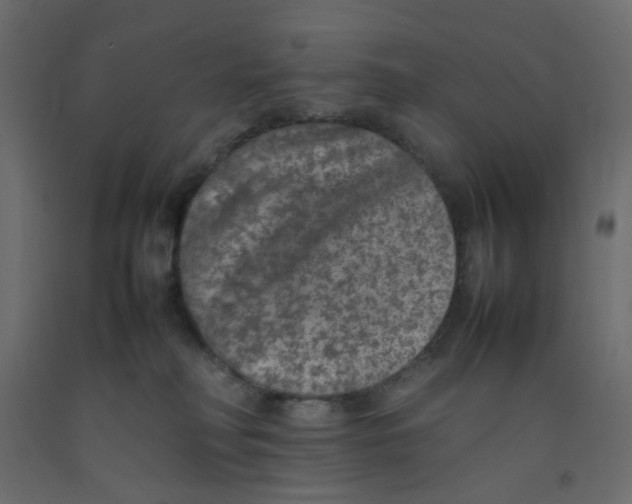 X0000092100230200710101129