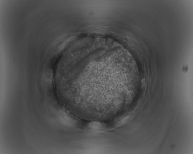 X0000092100231200710101129