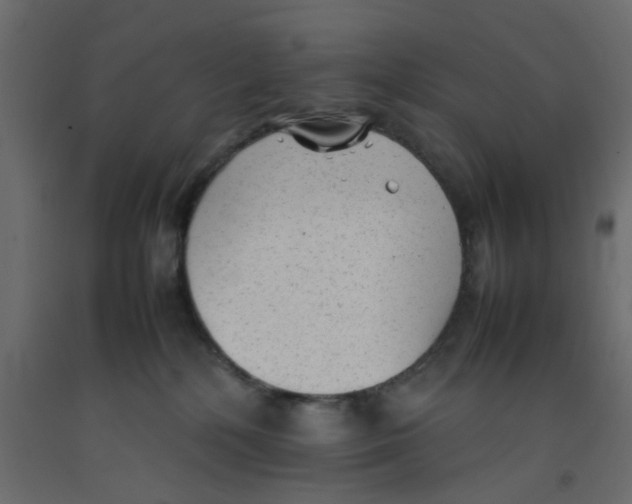 X0000092100232200710101129