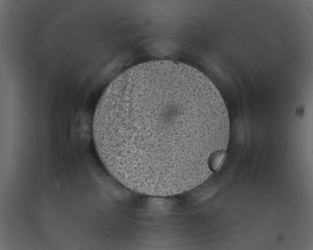 X0000092100234200710101128