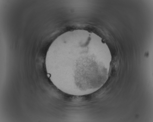 X0000092100235200710101128